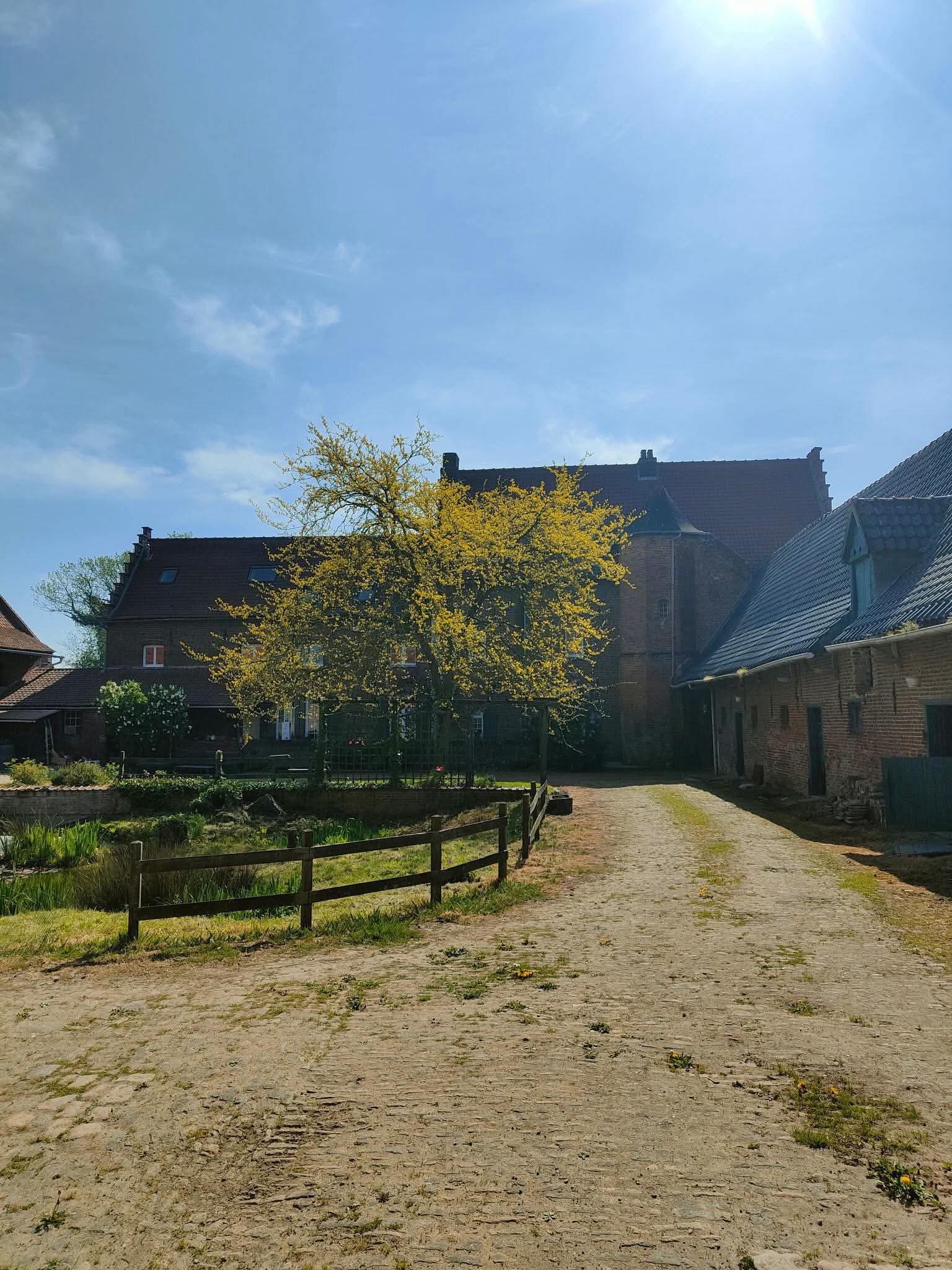 Cour de la ferme